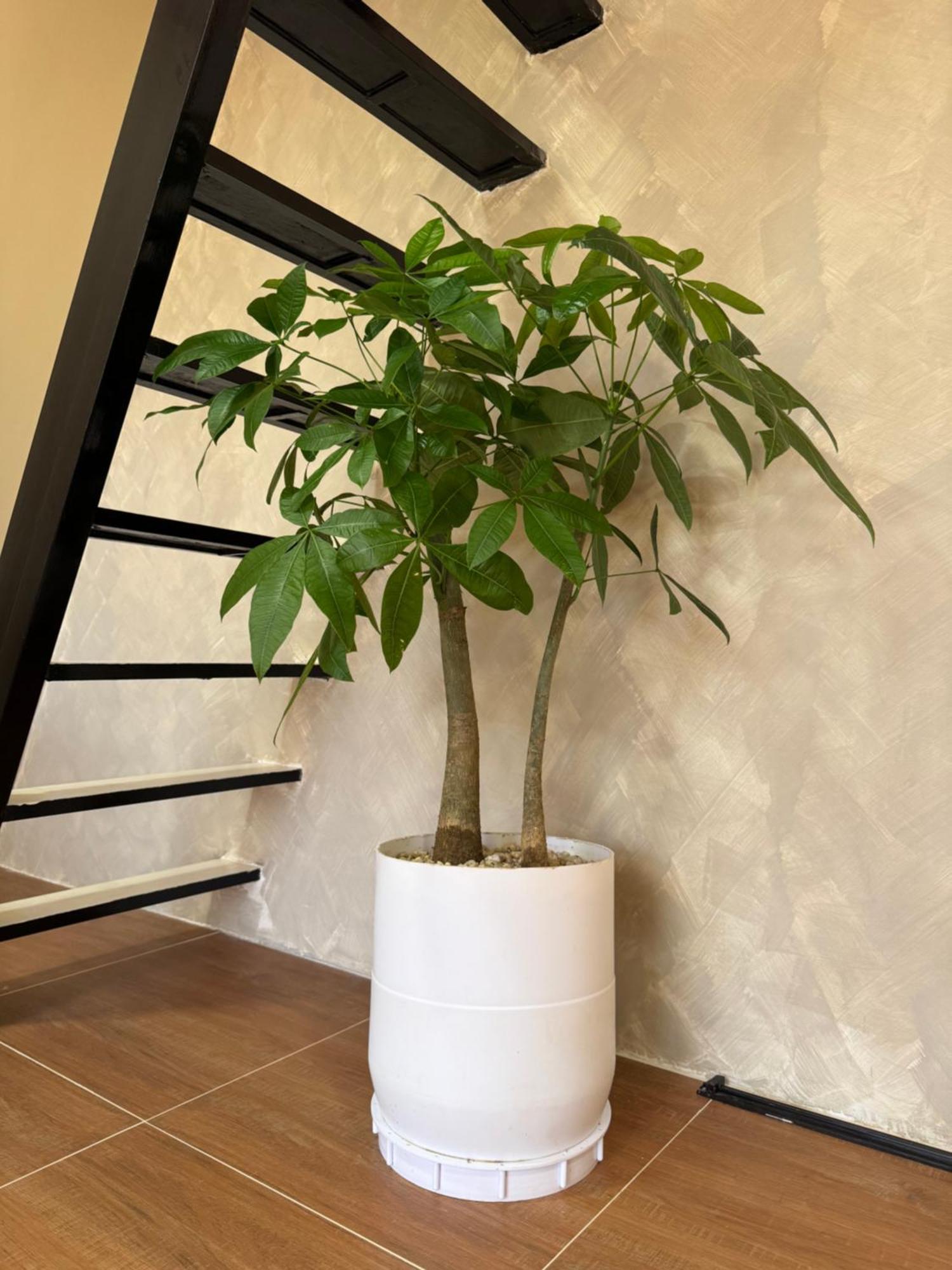 Hardin De Marbella Hotel Ел Нидо Екстериор снимка